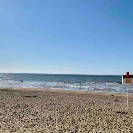 Bord De Mer, Hyper Centre De Sur *